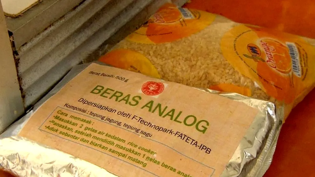 Umělá rýže