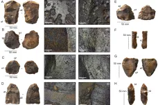 Artefakty staré až 130 tisíc let odkryl archeologický výzkum v Ománu