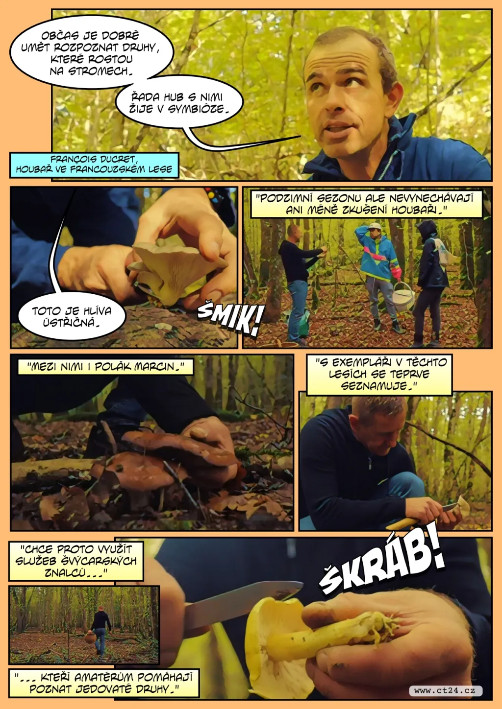 Plné košíky hub se mohou vymstít