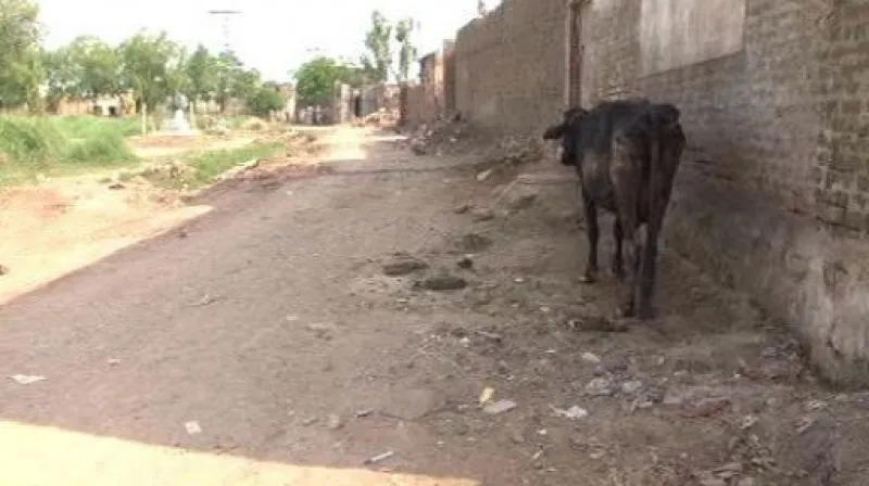 Reportáž Pavla Vondry