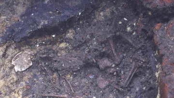 Kostra kojence z belgického nevěstince