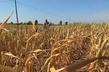 Vysychající Pád ničí živobytí i rybářům. Evropské HDP kvůli změně klimatu možná klesne