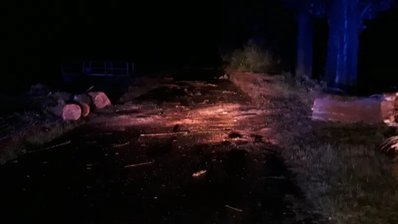 První následky bouřek na Domažlicku