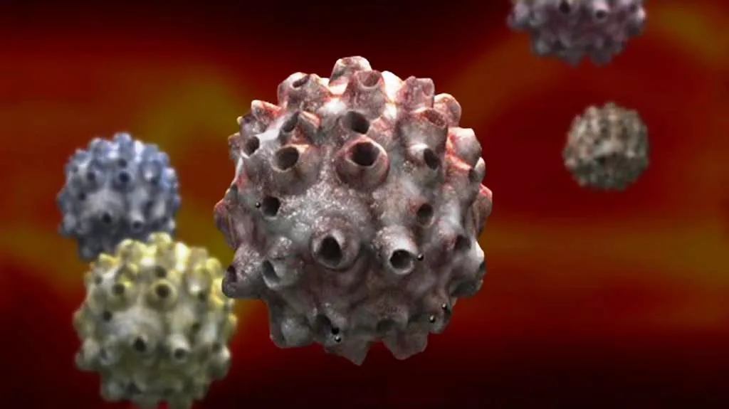 Lidský papilomavirus