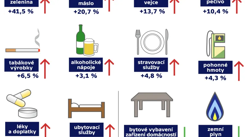 Vývoj spotřebitelských cen v prosinci 2016 (v meziročním srovnání oproti prosinci 2015, v %)