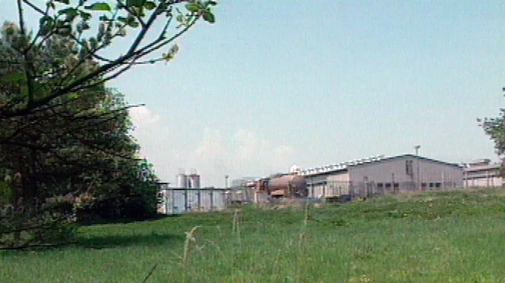 Vepřín v Letech