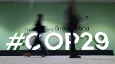 COP29