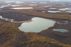 Sibiř se potýká s tajícím permafrostem. Vědecký tým Zimovových zkouší ochlazování půdy i pomocí zubrů