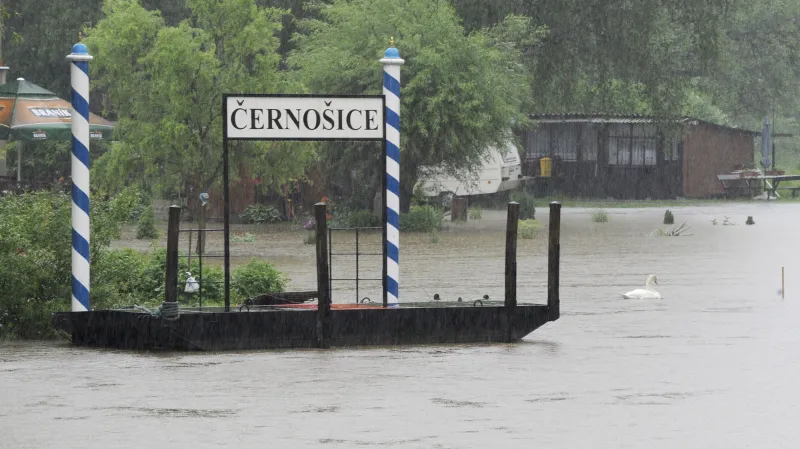 Rozvodněná Berounka v Černošicích