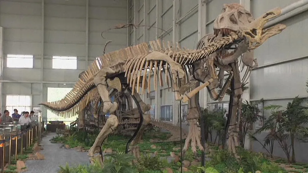 Kostry dinosaurů