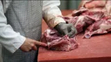 Nedostatečné kontroly masa v ČR?