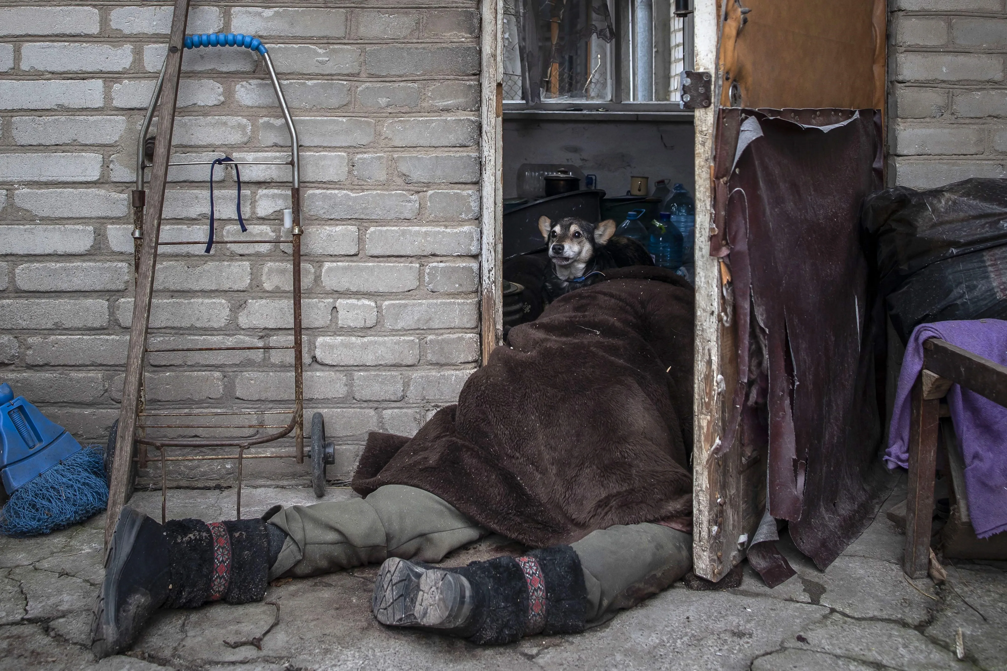 Tohle jsou finalisté Czech Press Photo, řada fotografů soutěž letos