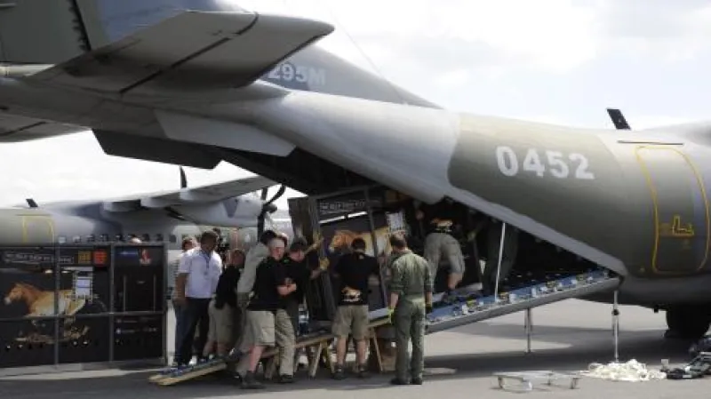 Transport koní Převalského