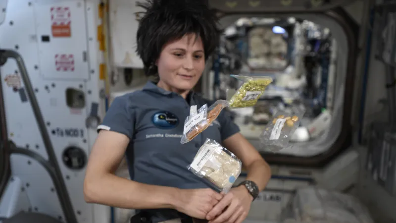 Samantha Cristoforettiová s hmyzími tyčinkami na ISS