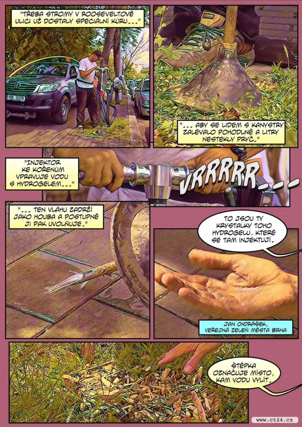 Brňané chtějí zalévat stromy