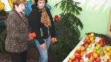 Z regionální výstavy ovoce, ovocných a okrasných dřevin v Boskovicích