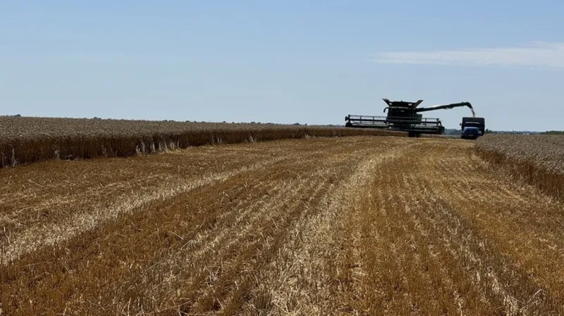 Na farmě je čas sklizně