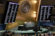 Česko nahradilo Rusko v Radě OSN pro lidská práva