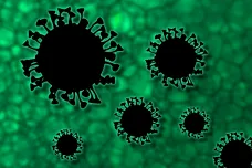Vědci chtějí mRNA vakcíny vylepšit strategií chřipkového viru. Mohly by být účinnější