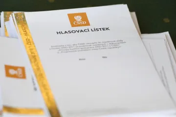 Ano s ANO? V ČSSD začalo referendum, zda vstoupit do vlády