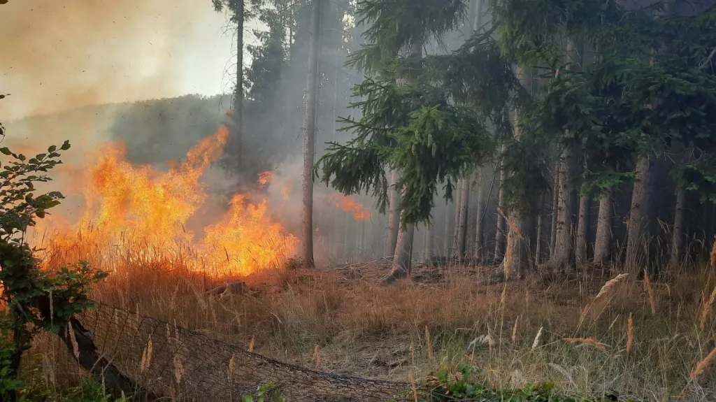 Požár lesa v Lukovečku na Zlínsku