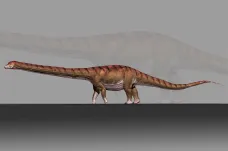 Vědci popsali obřího dinosaura, vážil stejně jako raketoplán. Tyranosaurus byl proti němu drobek