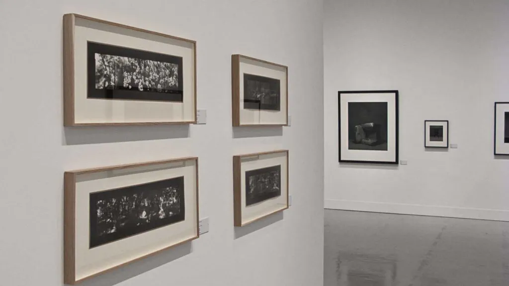 Darknesses for Light - Czech Photography Today