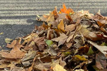 Po zákazu pálení nakupují osady na likvidaci listí stroje