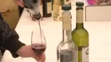 Ochutnávka Svatomartinského vína