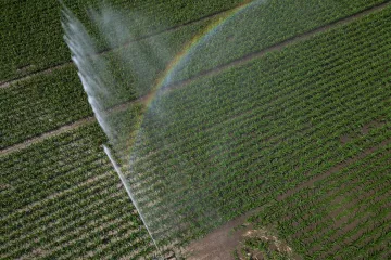 Pitné vody má Česko dost, problém může být s užitkovou, varuje expert