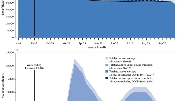 Nadměrná úmrtí na covid-19 v USA