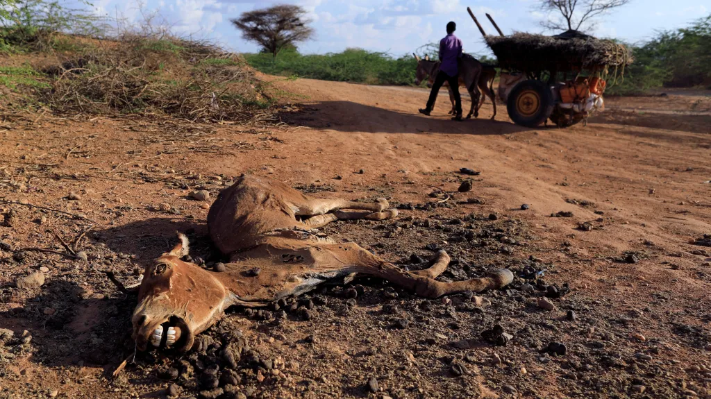 Somálsko sužuje nebývalé sucho