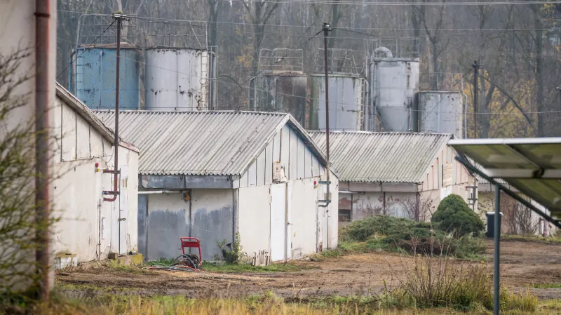 Velkochov kachen ve Valdíkově na Třebíčsku, kde se objevilo ohnisko ptačí chřipky H5N1