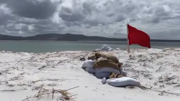 Falklandy se zbavily nášlapných min