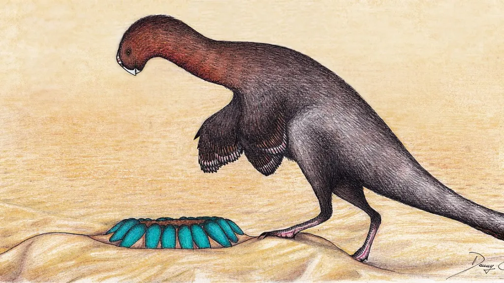 Ilustrační foto