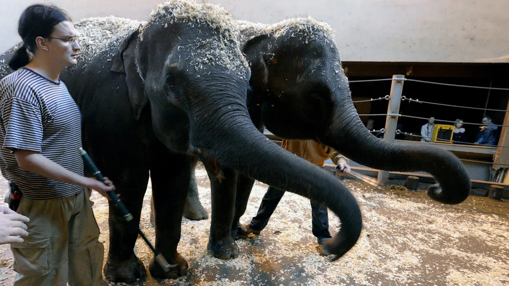 Janita (vpravo) a Tamara