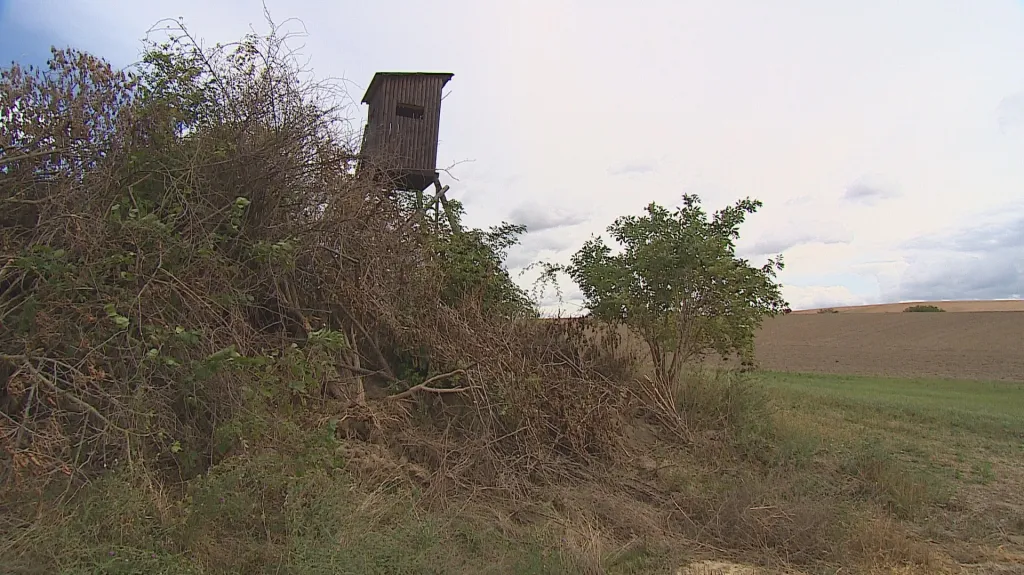 Poničená mez na poli u Nenkovic