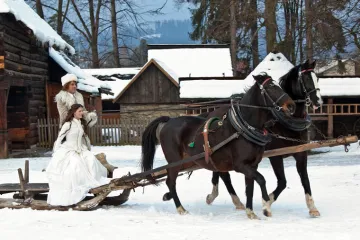 Zvláštní cena pro Dvanáct měsíčků