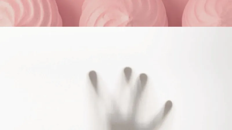 Leila Slimani / Něžná píseň