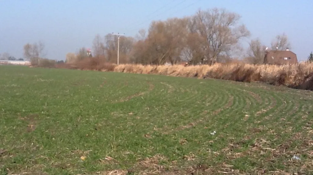 V Lanžhotě má vzniknout protipovodňová hráz