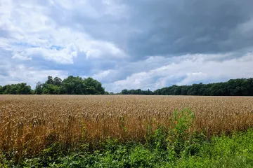 Do konce týdne předpověď slibuje klidnější počasí
