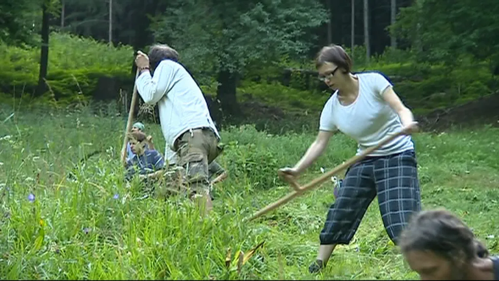 Bělokarpatské louky se kosí už po dvaatřicáté