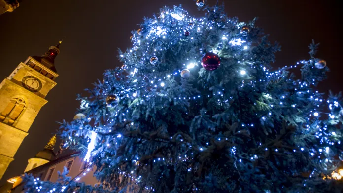 Vánoční strom v Hradci Králové