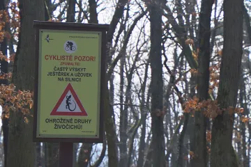 Národní park Podyjí strádá pod náporem turistů. Chodí mimo značené trasy a parkují, kde se dá