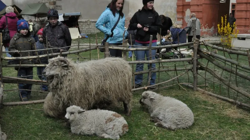 Velikonoce - Nový Hrad
