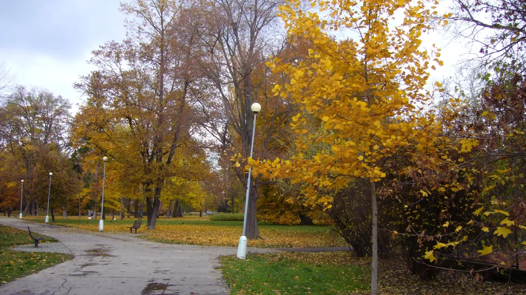 Park Lužánky