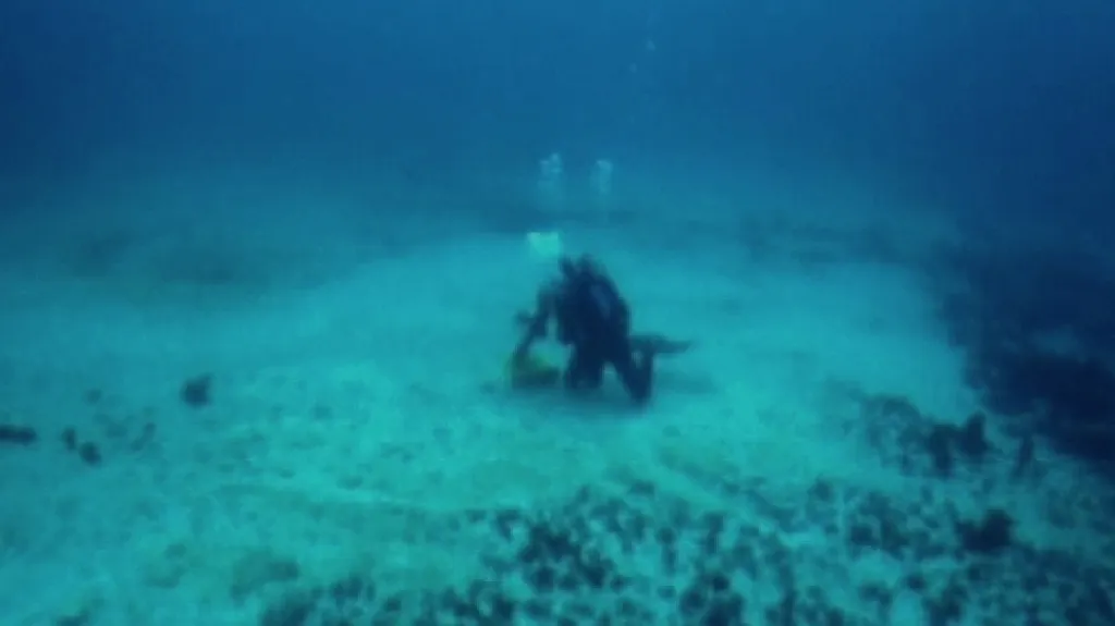 Velký bariérový útes