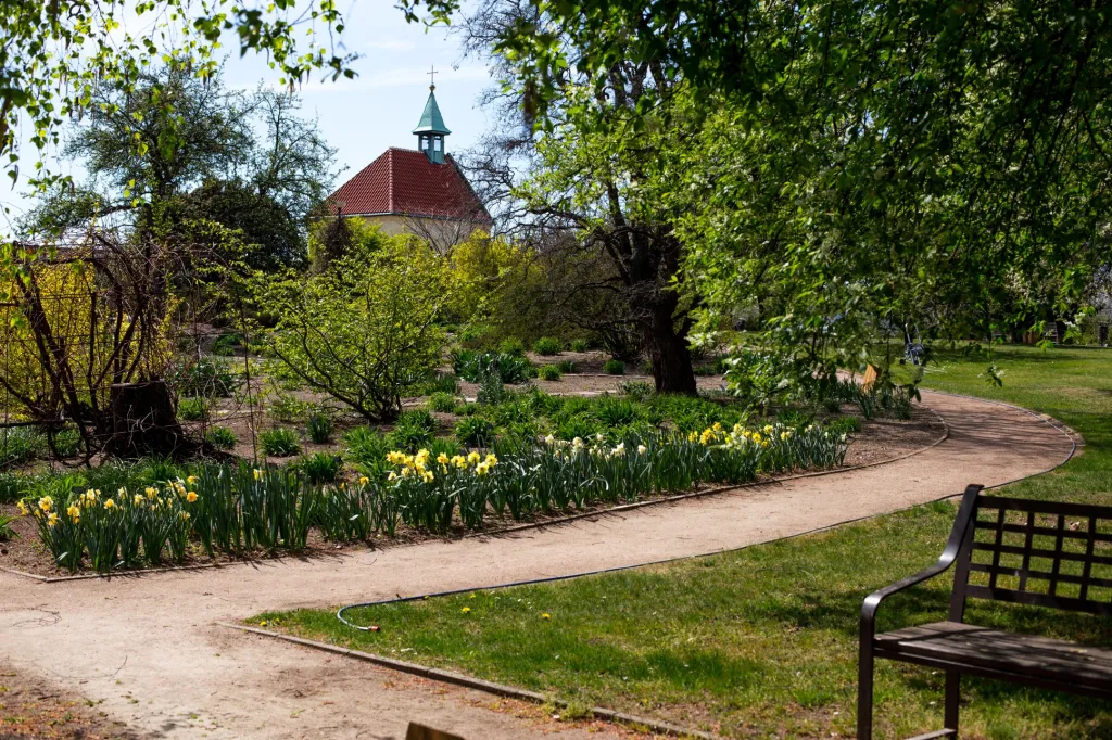 Zahrada je významným členem Unie botanických zahrad. Za vzor si bere hlavně německé zahrady