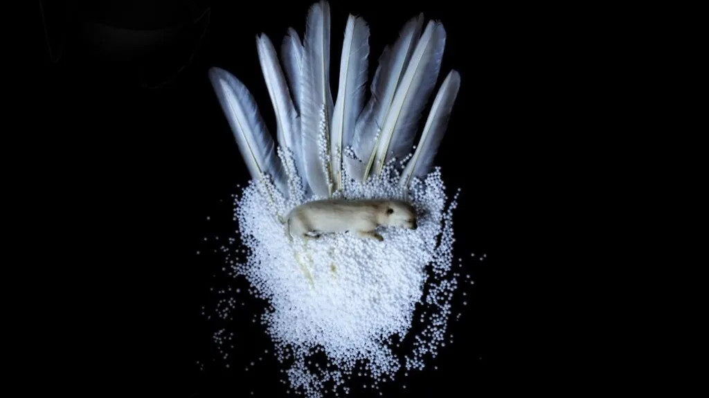 Textilní tvorba, téma Pohádka