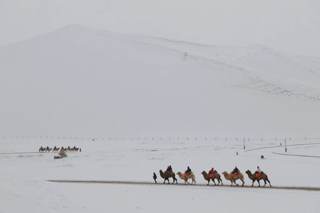 Turisté na velbloudech při návštěvě zasněžené pouště Mingsha Shan v čínské provincii Gansu.